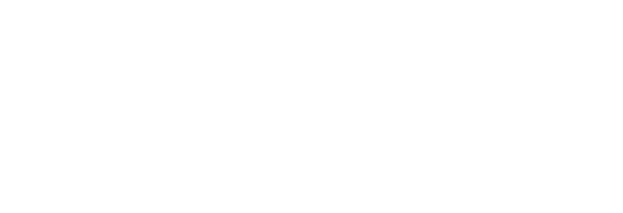 Digitaliz